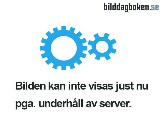 Bilddagbok?